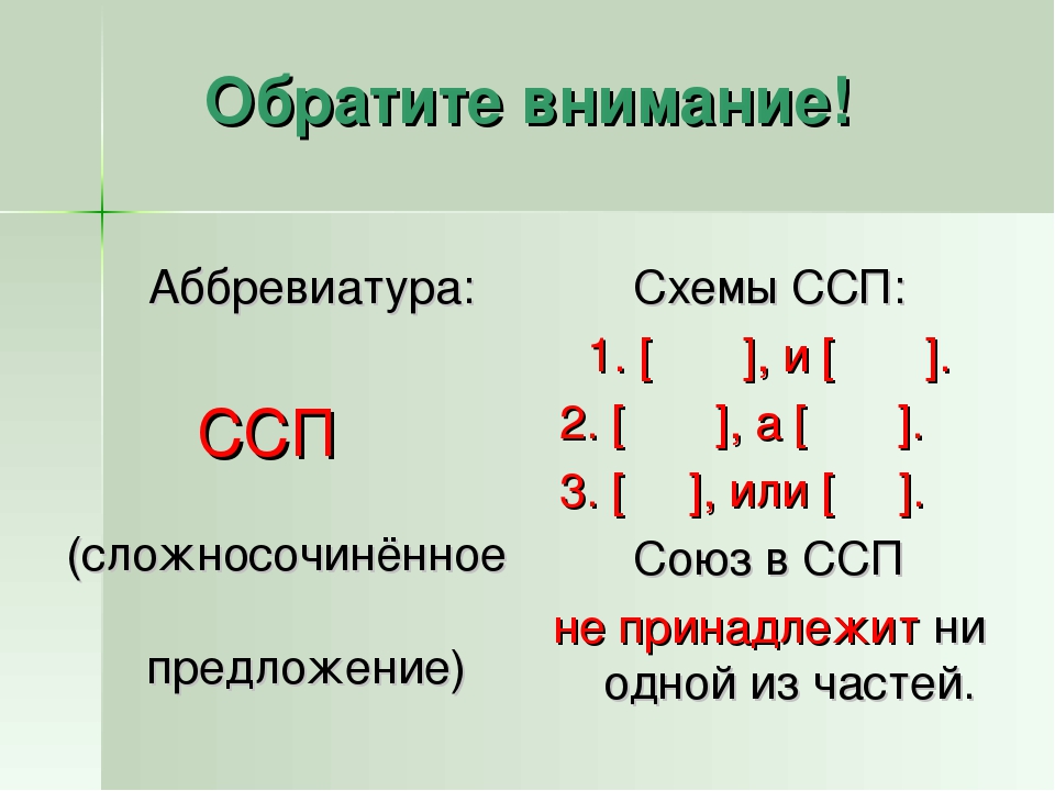 Ссп это. Схемы ССП СПП БСП. Схемы ССП И СПП В русском языке. Схема сложносочиненного предложения. Сложносочиненное схема.