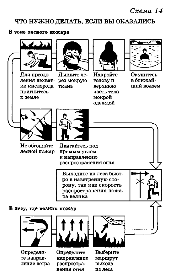 Схема лесного пожара