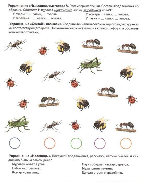 Картинки задания по теме насекомые