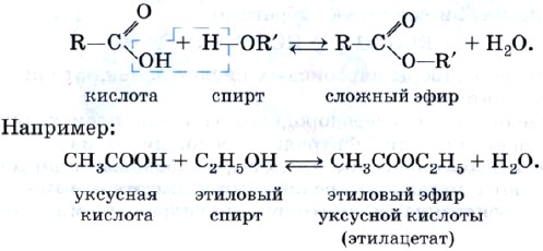 Уксусная кислота взаимодействует с этанолом. Получение этилацетата из уксусной кислоты и этанола. Этиловый эфир уксусной кислоты уравнение реакции.