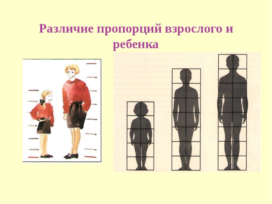 Различие детей и взрослых. Пропорции фигуры человека. Пропорции взрослого человека и ребенка. Пропорции человека рисунок. Пропорции тела человека изо.