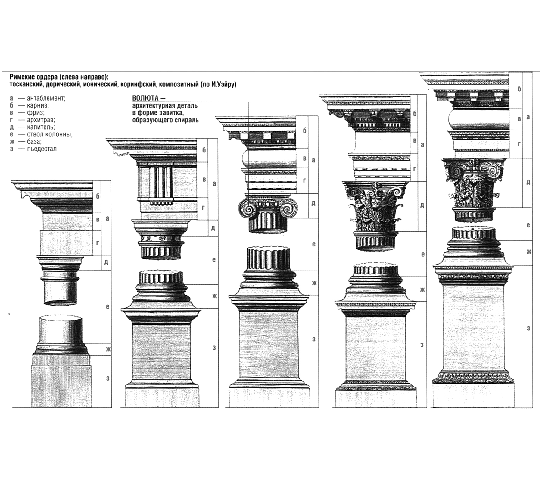 Какую ордер. Ордерная система ионический ордер. Архитектурные ордера древнего Рима. Колонна Ионического ордера. Дорический ордер ионический ордер Коринфский ордер.