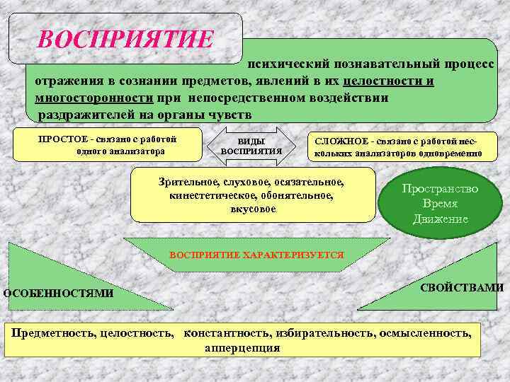 Восприятие и оценка объектов на основе определенных схем