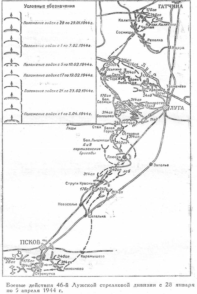 46 сд. 46 Лужская дивизия. Карта боевых действий в Стругах красных.