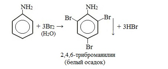 При взаимодействии анилина с бромной водой. Бромирование анилина реакция. Анилин плюс бромная вода. Бромирование анилина формула. Анилин h2 катализатор.