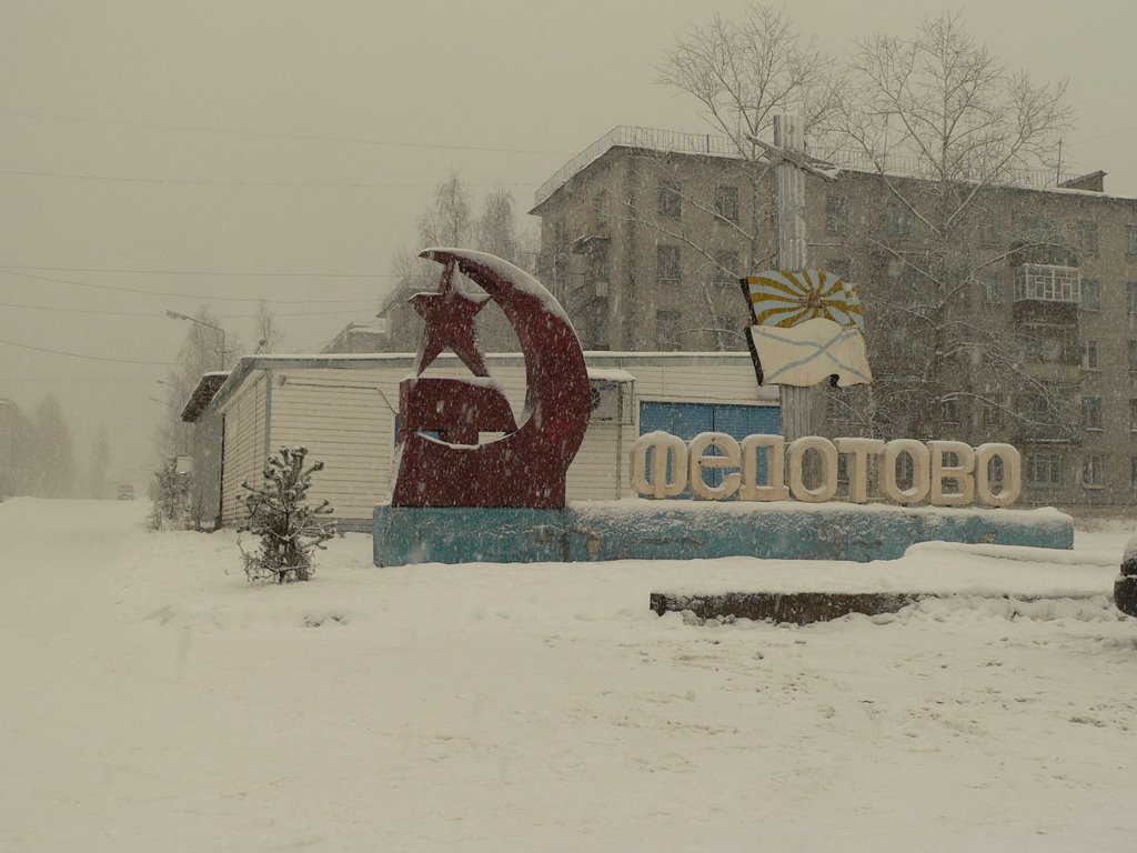 Вологодская область федотово фото