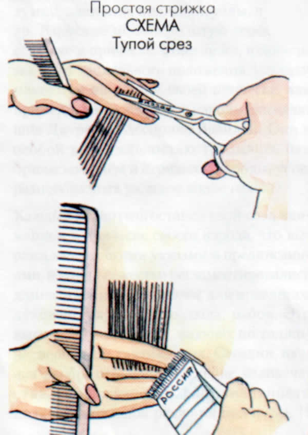 Срез машинкой. Технология мужской стрижки ножницами. Мужская стрижка, ножницы, расческа. Схемы стрижек. Схема мужской стрижки ножницами.