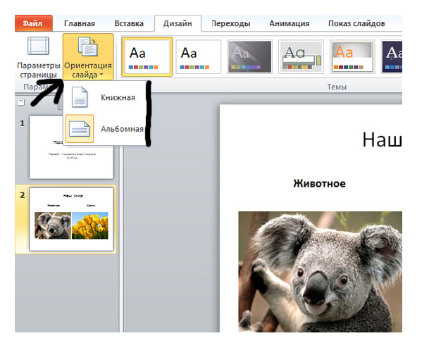 Ориентация презентации. Ориентация в презентации. Как изменить ориентацию слайда. Ориентация слайда в POWERPOINT. Ориентация страницы в Пауэр поинт.