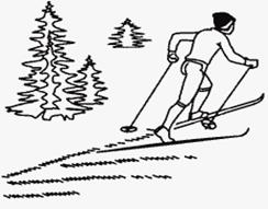 Ход елочка. Техника подъема елочкой и полуелочкой. Подъем полуелочкой на лыжах. Подъем полуелочкой ход на лыжах. Подъем полуелочкой на лыжах техника.