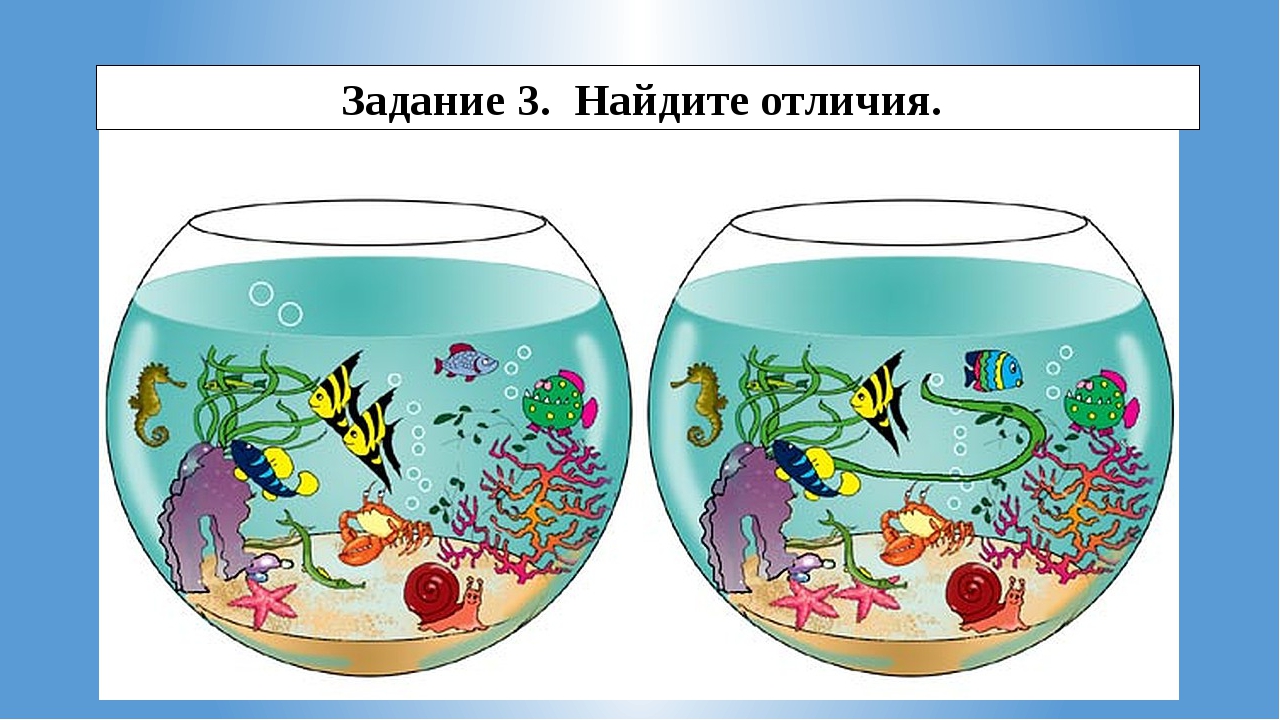 Обитатели аквариума 5 класс биология. Рыбки для аквариума. Аквариум с рыбками для детей. Аквариум рыбки для дет. Аквариум рисунок.
